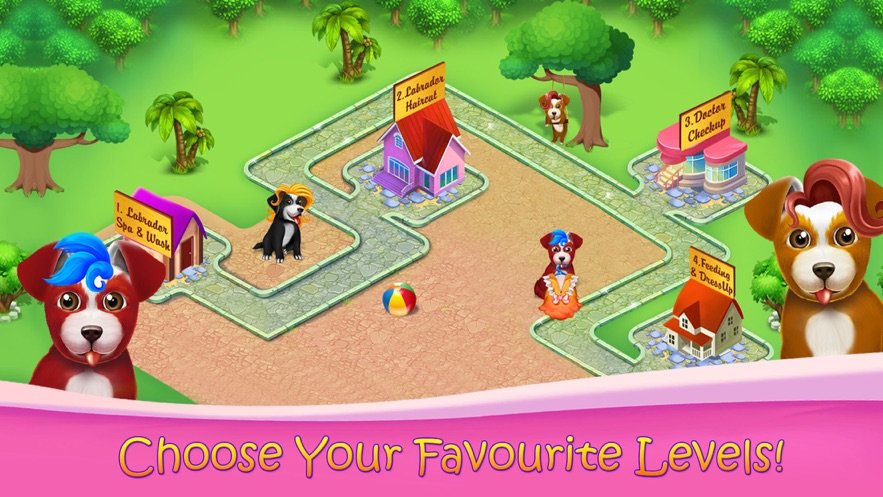 蓬松的拉布拉多幼犬沙龙3