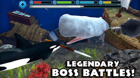 终极虎鲸模拟器2