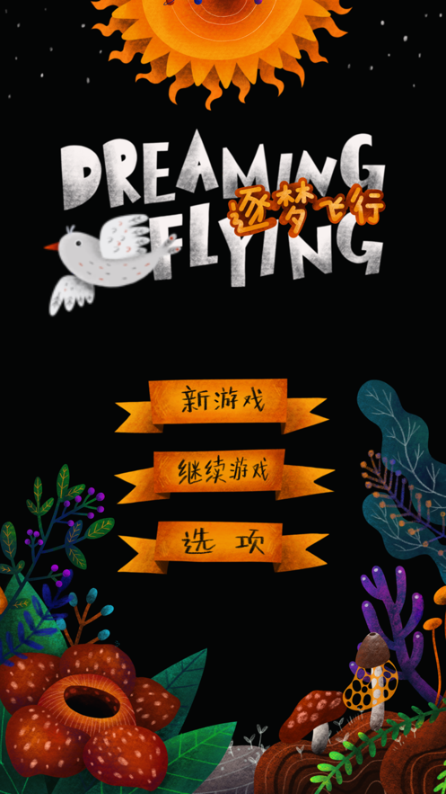 DreamFlying3