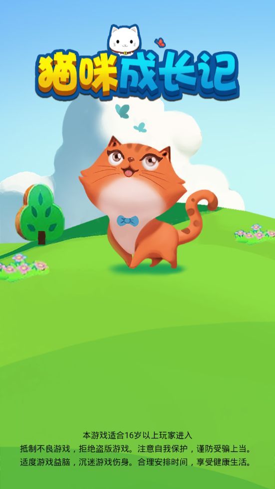猫咪成长记0