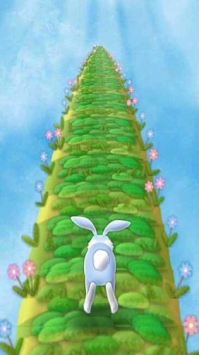 兔宝宝快跑1