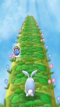 兔宝宝快跑4