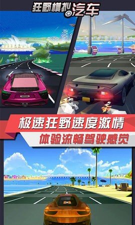 狂野模拟汽车1