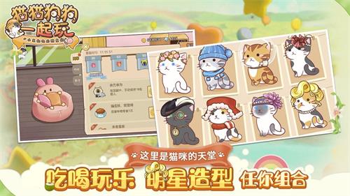 猫猫狗狗一起玩4