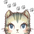 猫咪漫步