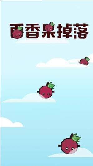 百香果掉落2