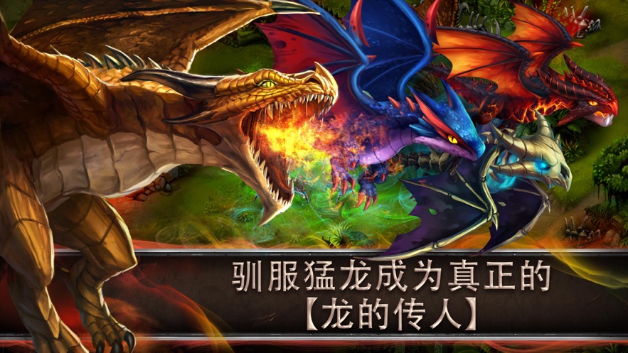 驯龙传说手游1