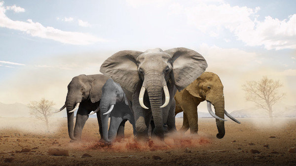 大象族群模拟器2