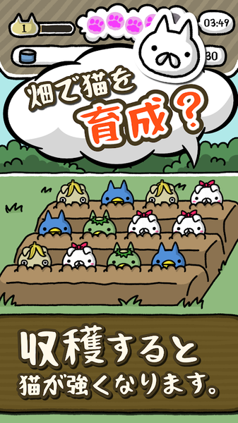 喵喵圆滚滚中文版3