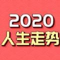 你的2020人生走势图