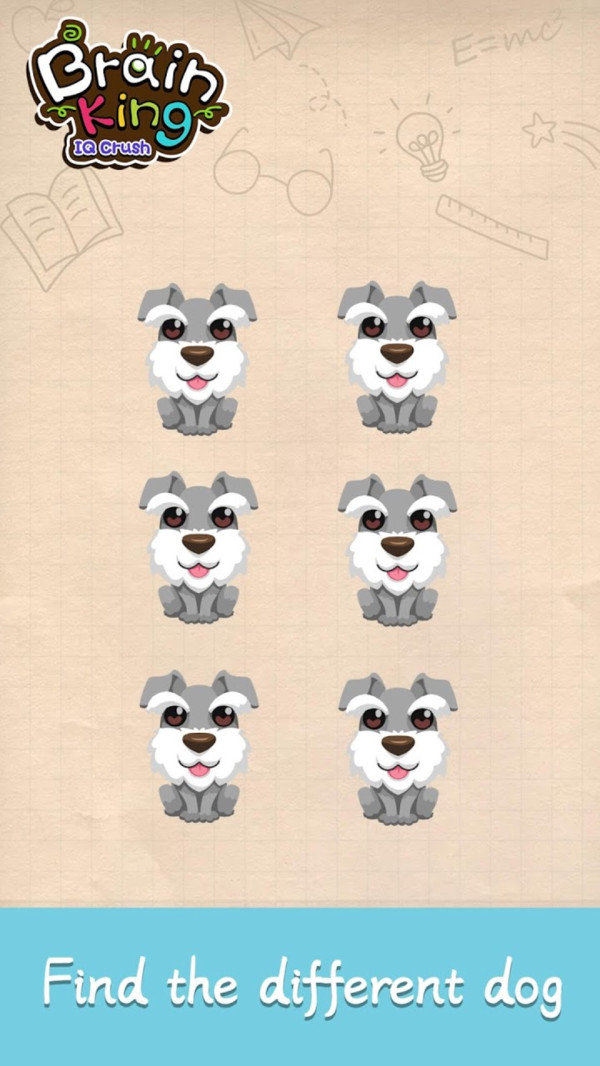 爱因斯坦脑王汉化版0