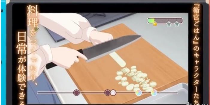 卫宫家今天的饭汉化版0