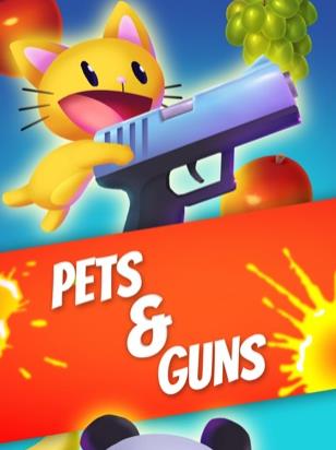宠物和枪2