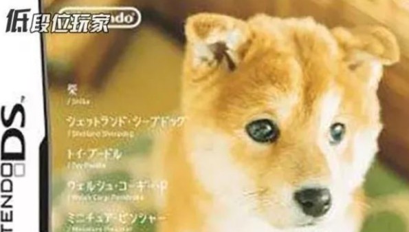 脑白金汉化版2
