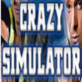 疯狂模拟器