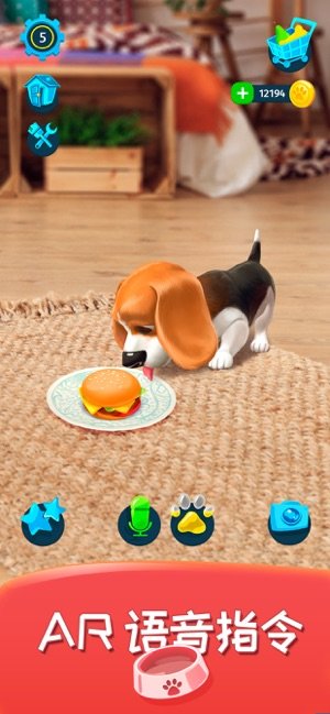 我的虚拟狗4