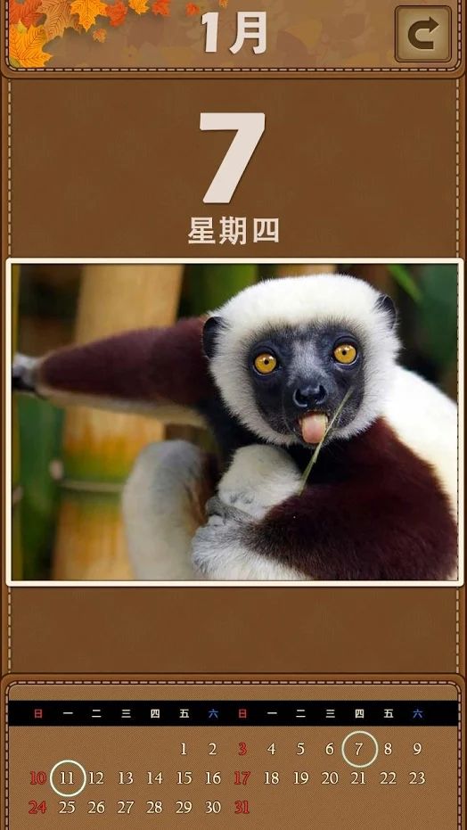 爱情公寓5万年历小程序2