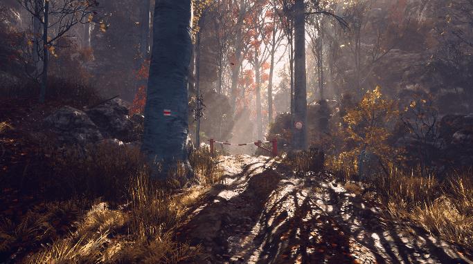 有一天你会归来0