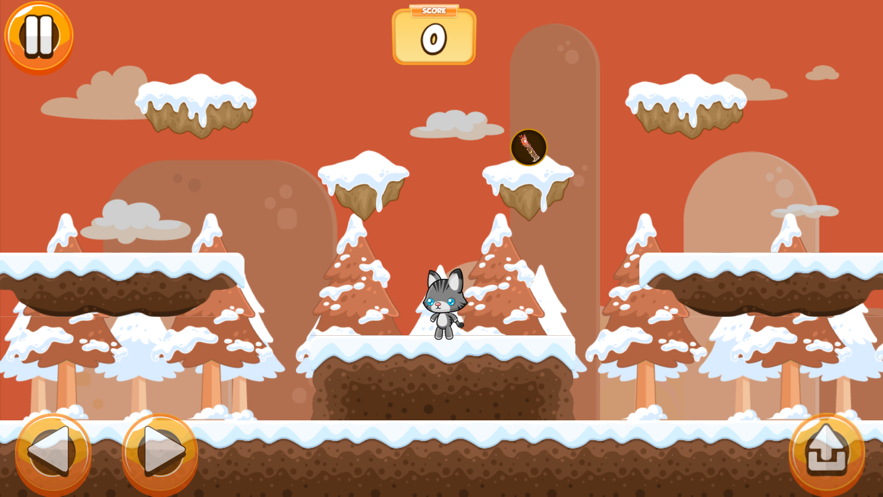 猫的跳跃练习最新版0