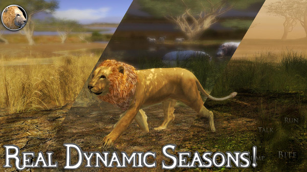 狮子模拟器20200