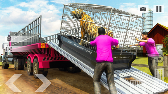 动物交货运输辛0