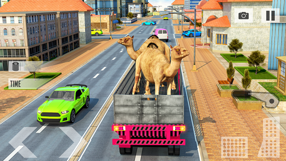 动物交货运输辛2