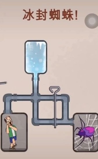 把蜘蛛冻死1