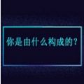测测你是由什么构成的小