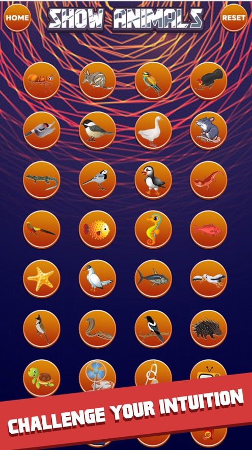 从头开始并找到它1