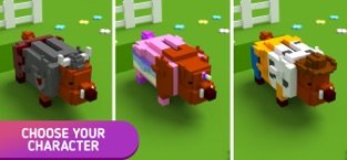 小猪进化大作战0