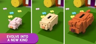 小猪进化大作战1