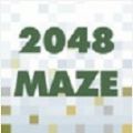 maze 2048