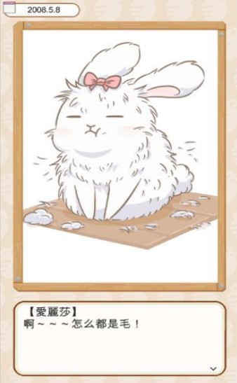 家有宠物肚腩少女1