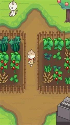 猫之森友会红包版1