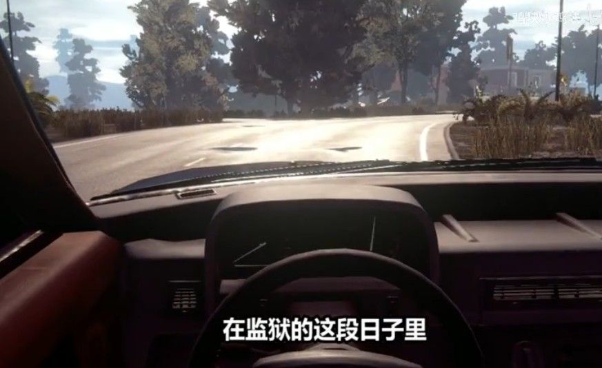 窃格瓦拉的出狱生活模拟器2