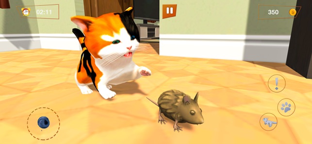 我的小猫小猫战士猫3