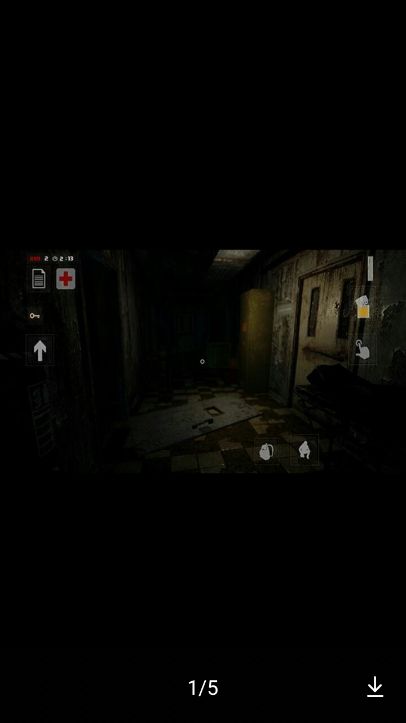 752号精神病人汉化版1