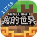 我的世界1.17国际版