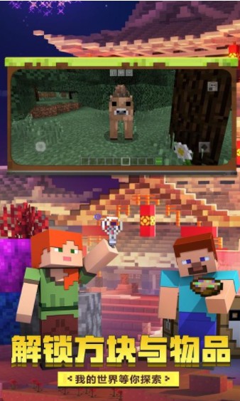 我的世界1.17国际版2