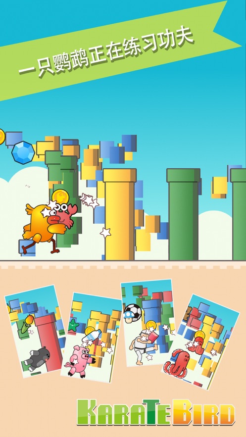 空手道小鸟0