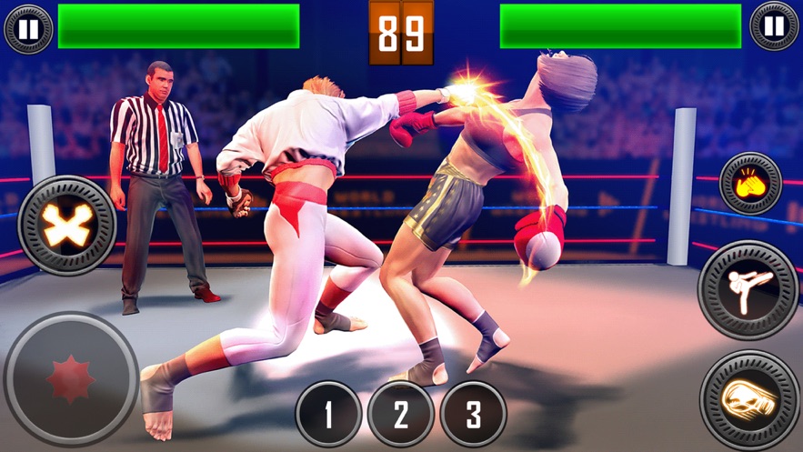 真实摔跤对战20200