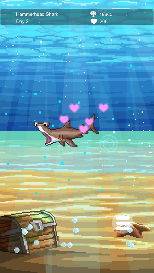 鲨鱼轻轻地生长0