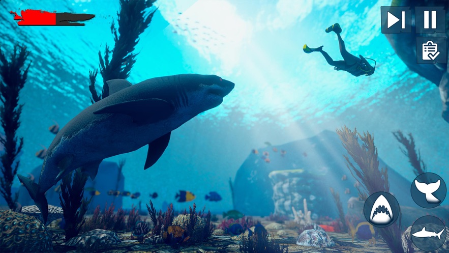 筏生存水下的鲨鱼0