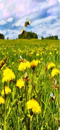 邪恶大黄蜂中文（Big Bad Wasps）3