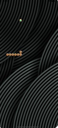 Snakie Temple中文（斯奈基神庙）3