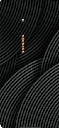 Snakie Temple中文（斯奈基神庙）4