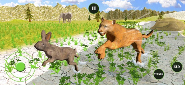 野生动物果酱猫10