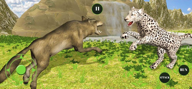 野生动物果酱猫11