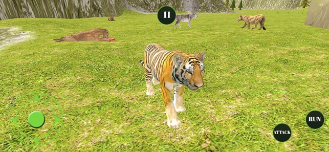 野生动物果酱猫12