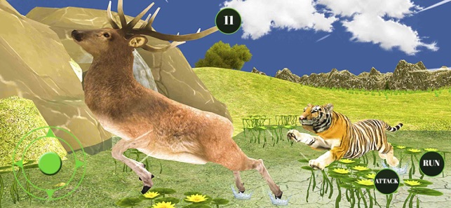 野生动物果酱猫1